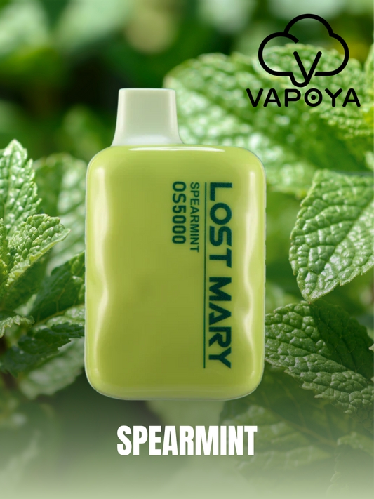 Lost Mary ZERO 5K PUFFS - Spearmint 🌿❄️- 0% NICOTINA